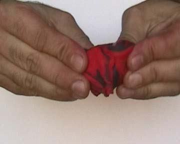 Fabrizio Segaricci – Il lavoro mobilita Fabrizio Segaricci – Il lavoro mobilita