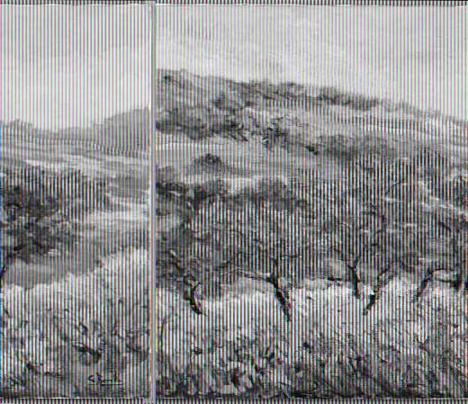 Giuseppe Borella – Con fedeltà di sguardo e di pittura Giuseppe Borella – Con fedeltà di sguardo e di pittura