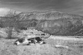 John Ganis / Steven Benson