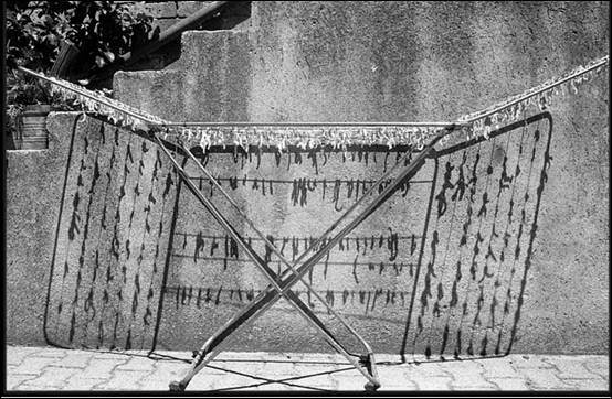 Le Opere e i Giornihttps://www.exibart.com/repository/media/eventi/2004/07/le-opere-e-i-giorni.jpg