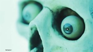 Lo sguardo ostinato Lo sguardo ostinato