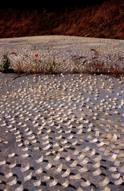 Polvere d’artehttps://www.exibart.com/repository/media/eventi/2004/07/polvere-d8217arte.jpg