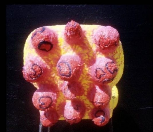 Vittorio Valente – Da 1000x a 100000x