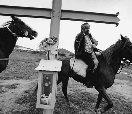 Francesco Cito – L’Isola al di là dal mare Francesco Cito – L’Isola al di là dal mare
