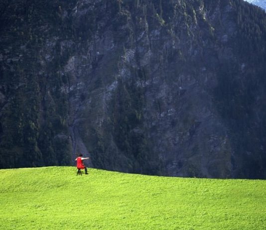 La luce dell’aria – Su-Mei Tse