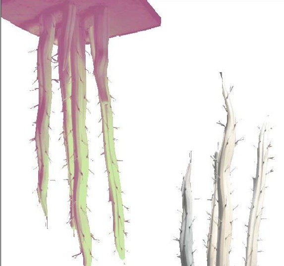 Matteo Peducci – Mutazioni batterichehttps://www.exibart.com/repository/media/eventi/2004/08/matteo-peducci-8211-mutazioni-batteriche.jpg