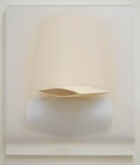 Parten(i)ogenesi Parten(i)ogenesi