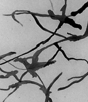 Alessandro Sarra – Mario’s Dance Floor