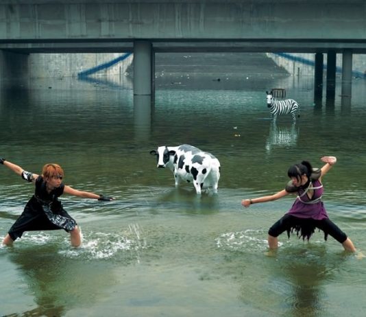 Arte contemporanea cinese