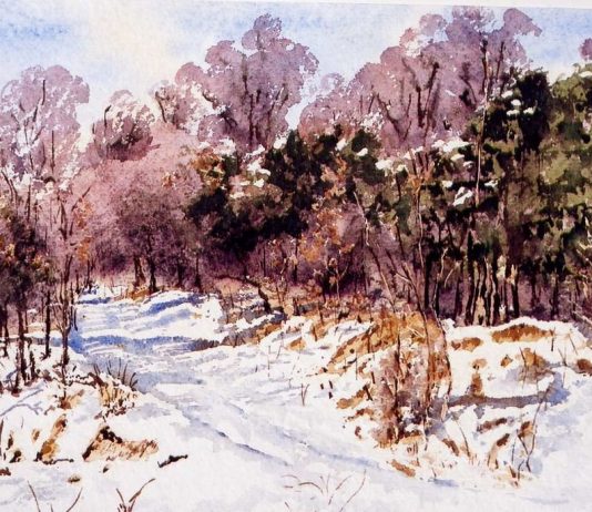 Beppe Sappa – Paesaggi di Langa