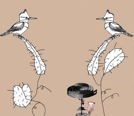 Forme nel Verde 2009