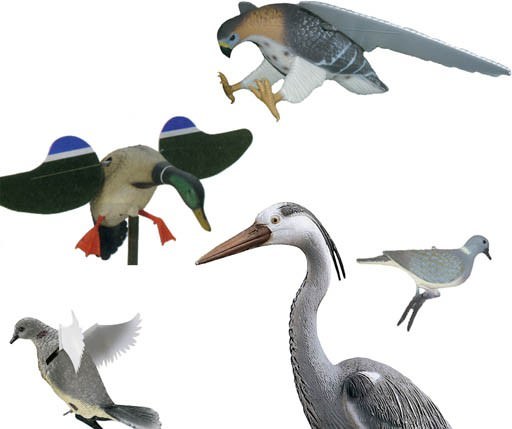 Francesco Simeti – Una Facciata per Palazzo Riso