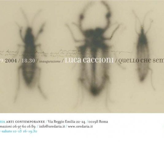 Luca Caccioni – Quello che sembra