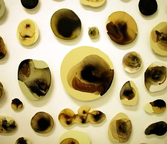 Luoghi d’osservazione 3 – Stefano Bonacci / Claus Munch