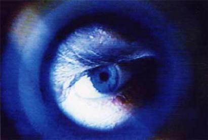 Paola Raffa – Spazio visionario