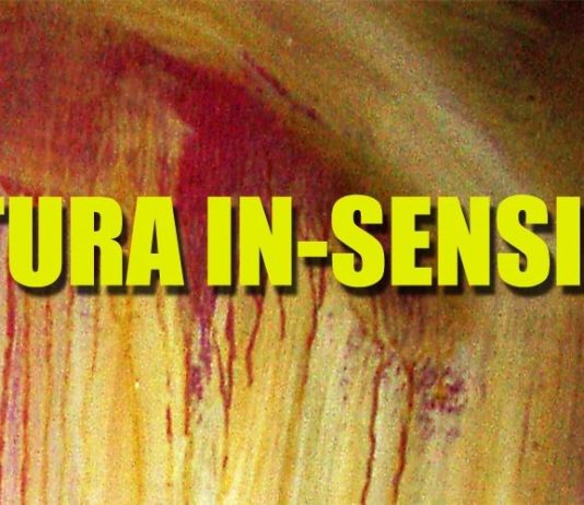 Pittura in-sensibile