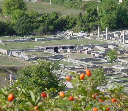 Poco grano molti frutti