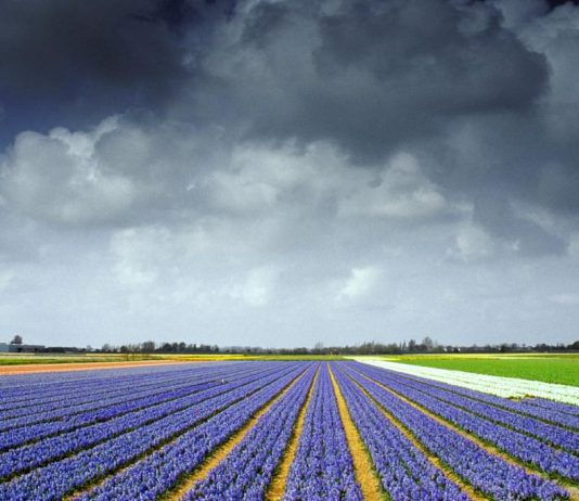 Renato Luparia – Cielo e dintorni