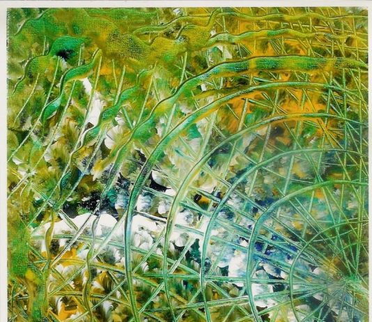 Stefania Gubbiotti – Vibrazioni