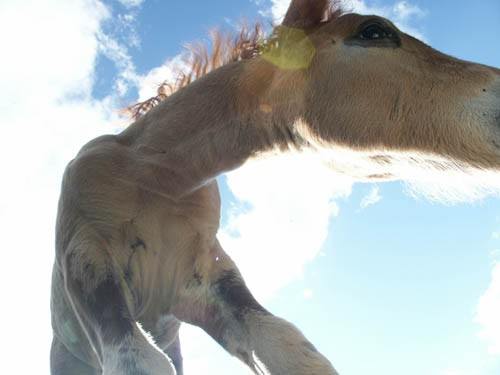 YTA – young trentino artists YTA – young trentino artists