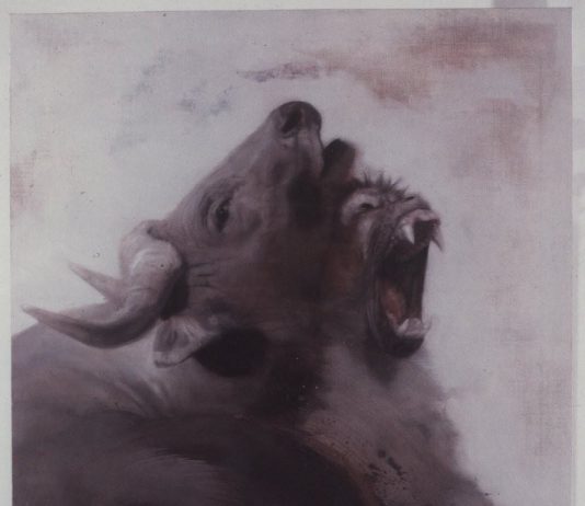 Aldrovandi vs. Pucci – Princìpi astratti di Figurazione Aldrovandi vs. Pucci – Princìpi astratti di Figurazione