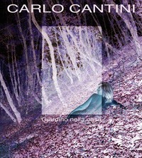 Carlo Cantini – Giardino nella casa