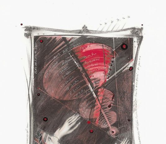 Cecco Bonanotte. La Divina Commedia