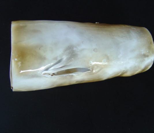 Collezione 2005 di Pierluigi Fucci