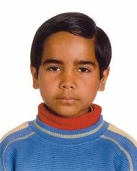 Fabio Boni / Luigi Gariglio / Francesco Raffaelli