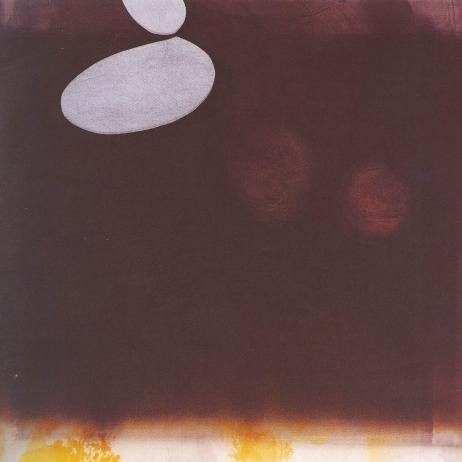 Franco Marrocco – Acquitrini Franco Marrocco – Acquitrini