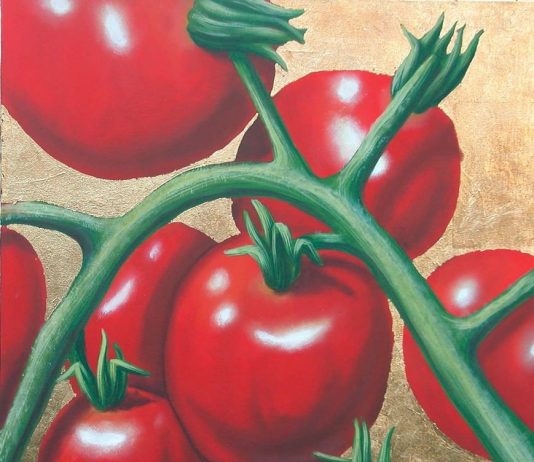 Giulia Guccione – Ritratti d’insetti