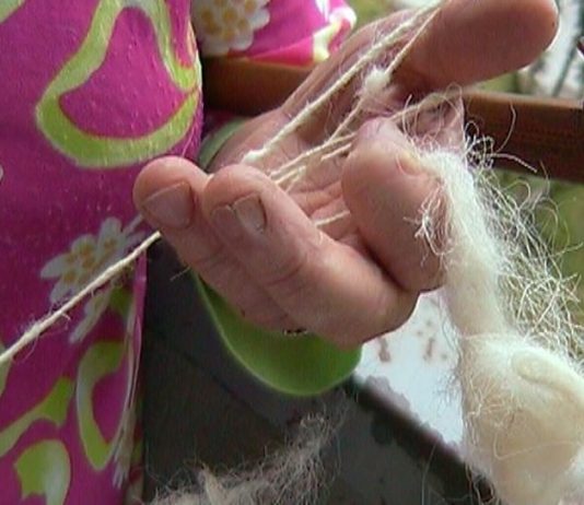 Go! to zò – Maria Vittoria Perrelli