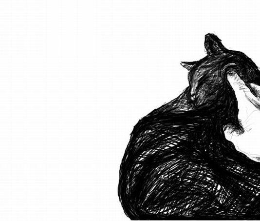 Matteo Fato – Autiritratto(1)