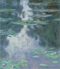 Monet, la senna, le ninfee.  Il grande fiume e il nuovo secolo
