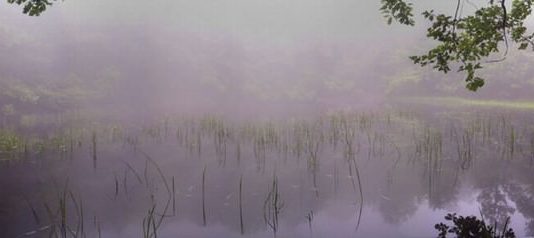 Paesaggi Nascosti. Le zone umide, un patrimonio da scoprire Paesaggi Nascosti. Le zone umide, un patrimonio da scoprire