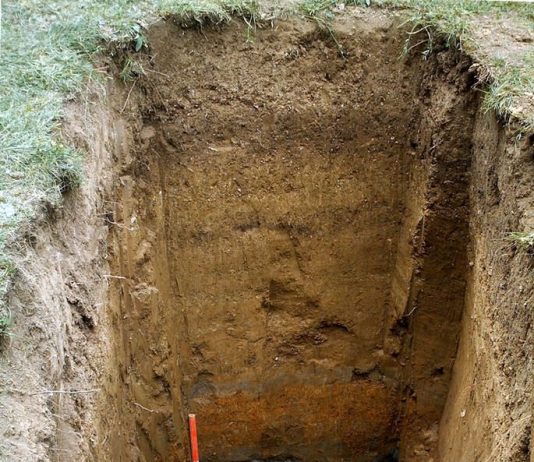 Paesaggi Nascosti. Le zone umide, un patrimonio da scoprire Paesaggi Nascosti. Le zone umide, un patrimonio da scoprire