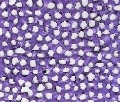 Paolo Gonzato – Smoke rings