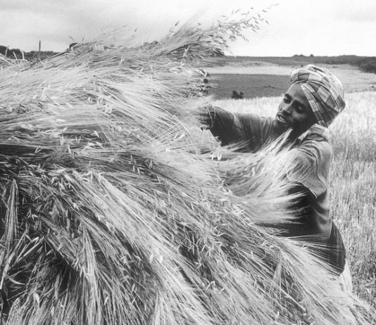 Agenda Blu Infocamere / Pablo Balbontín Arenas Agenda Blu Infocamere / Pablo Balbontín Arenas