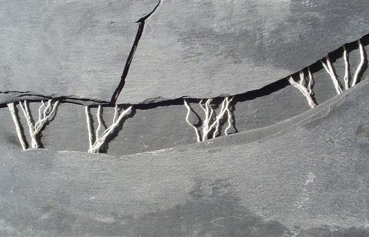 B-fronte – Paola Cordischi / Rosanna Pezzella