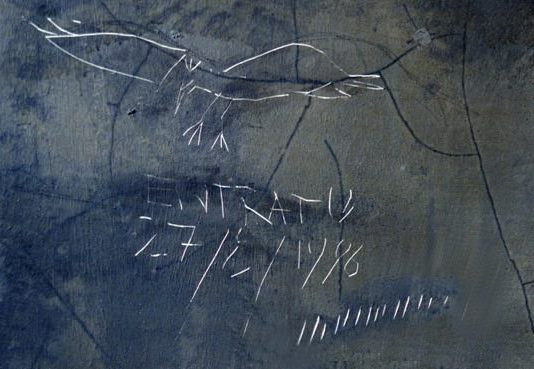 Chiara Dalmaviva – Ristretti orizzonti