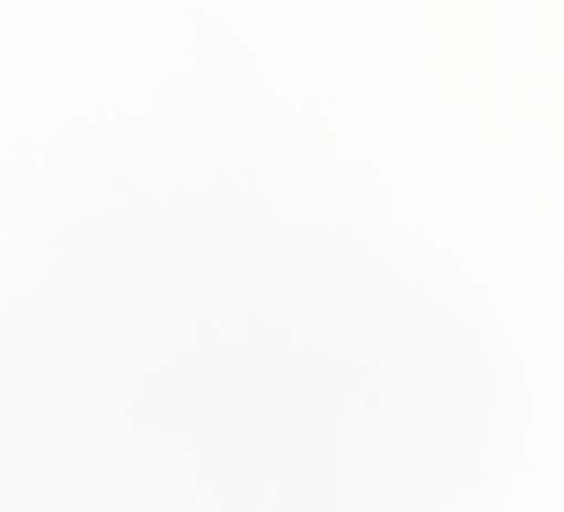 Claudia Pozzoli –  Still lives / Nature Immobili