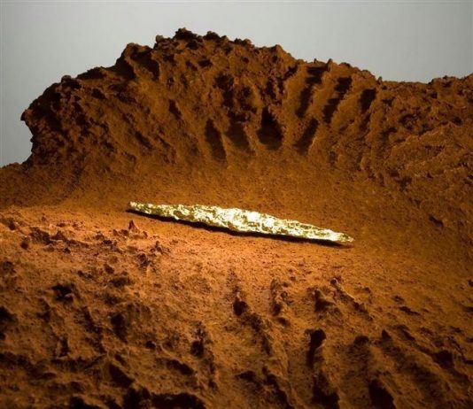 Domenico Difilippo – Apparizioni