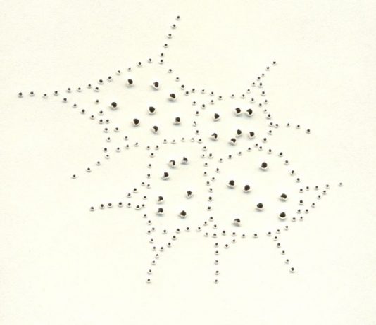 Federica Ferzoco – Micro