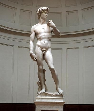 Forme per il David Forme per il David