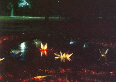 Go! to zò – Mona Lisa Tina