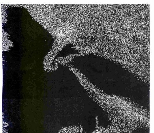 Imma Esposito – Frammenti