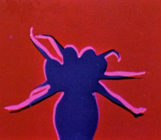 Independent Film Show 2006