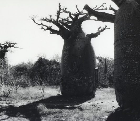 Premio Regione Piemonte 04 – Tacita Dean Premio Regione Piemonte 04 – Tacita Dean