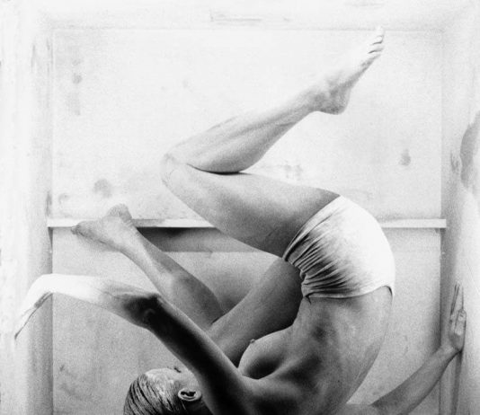 Roberto Rognoni – Immagini di Immagini