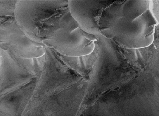 Stefania Di Marco – bombe.bambole.bomboniere